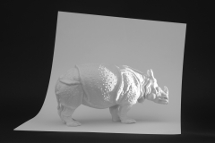 15562_1826Q_Nashorn Clara_Web-Moodbild_2