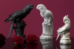 ReichenbachBirds